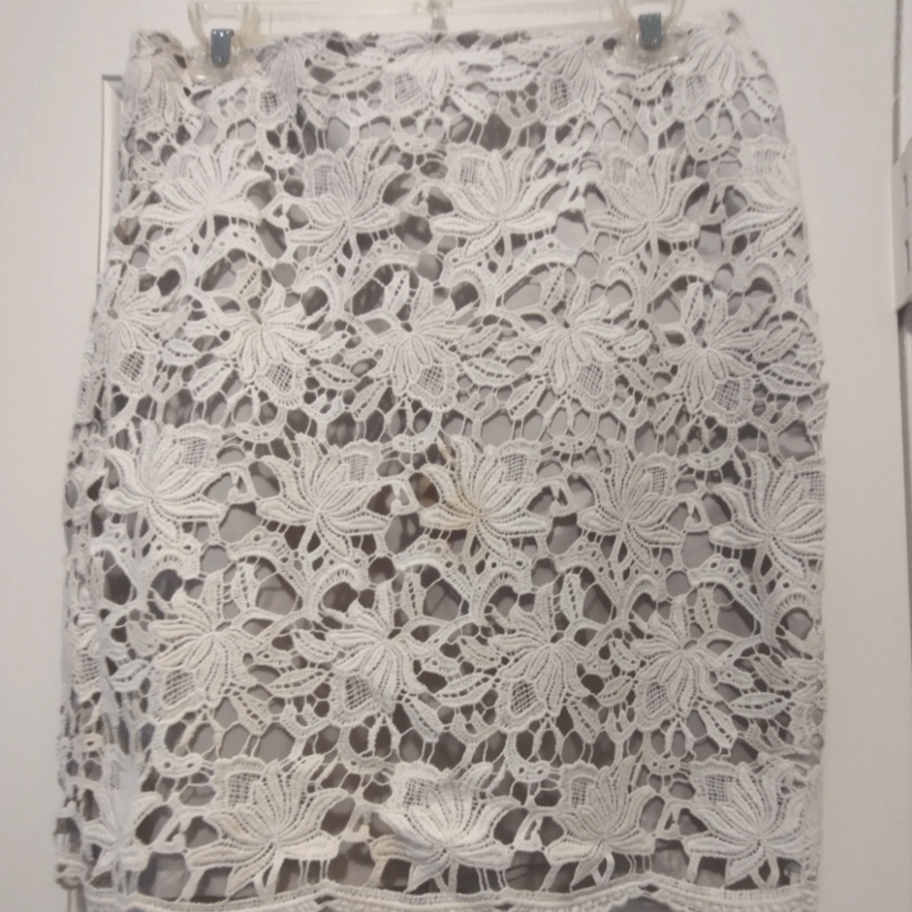 Ann Taylor Skirt